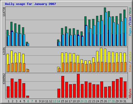 Daily usage for January 2007