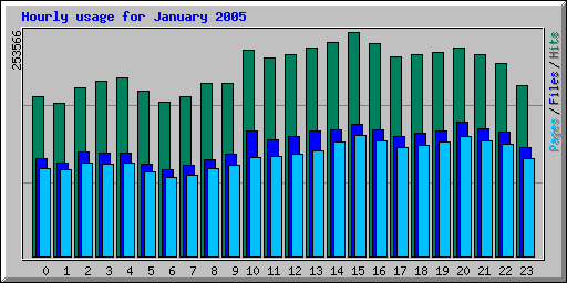 Hourly usage for January 2005