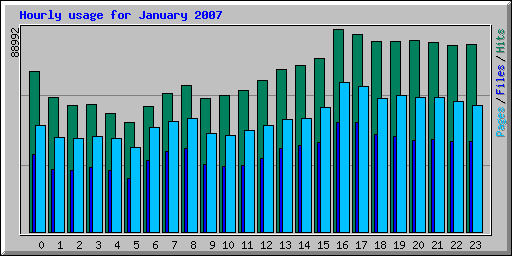 Hourly usage for January 2007