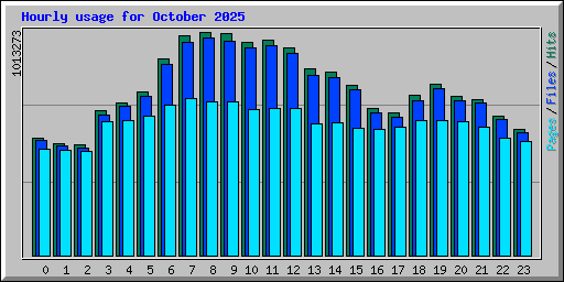 Hourly usage for October 2025